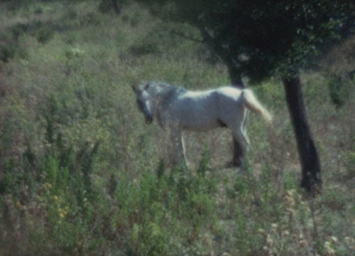 Dentro paesaggi di luce