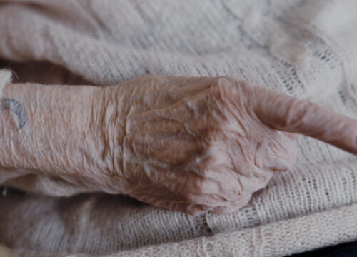 Energia Vitale. A visual journey between Milano and the Alps