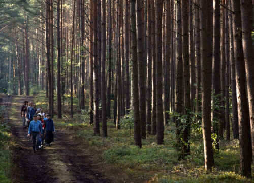 Ewa. L'ultima lezione