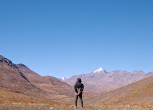 Il Rospo e il Diamante