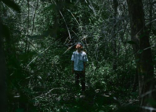 Incident on the Mountain