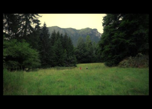 La parola amore non esisteva