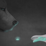 La Rivière des Ourses