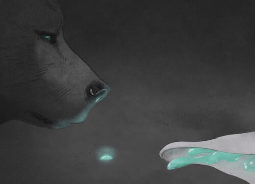 La Rivière des Ourses