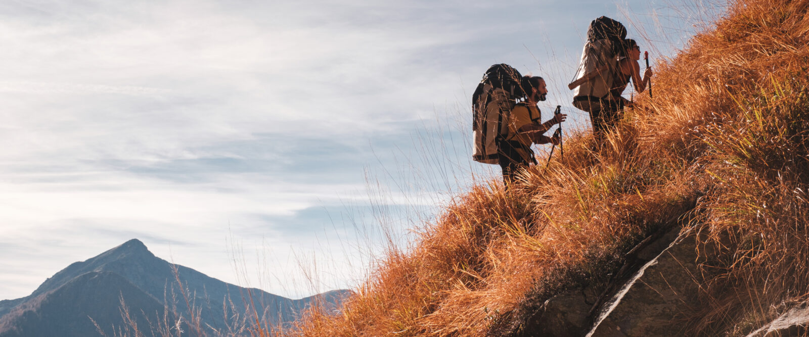 Mollo - The Art Of Holding On