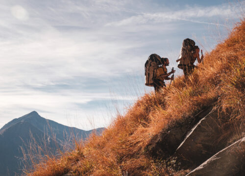 Mollo - The Art Of Holding On