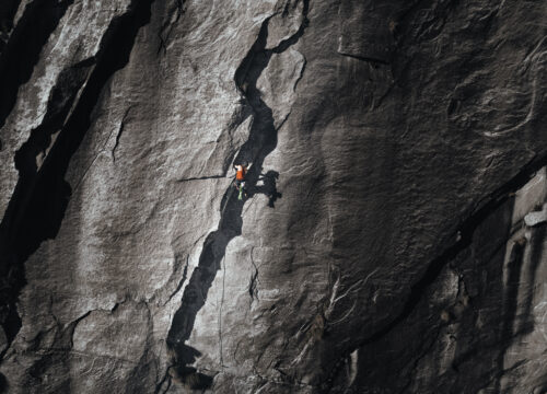 Mollo - The Art Of Holding On