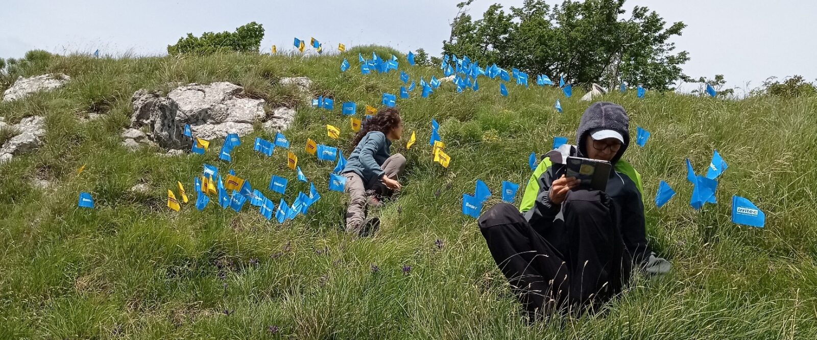 LIFE SEEDFORCE - SAVING PLANT DIVERSITY