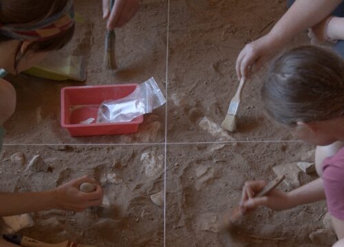Quan un riu esdevé el mar