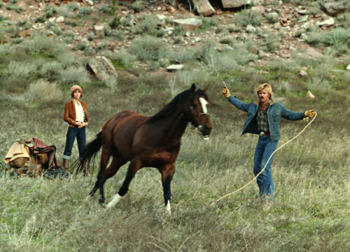 The Electric Horseman