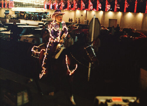 The Electric Horseman