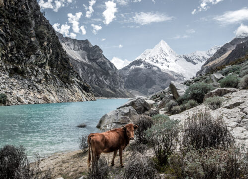 The Road to Patagonia