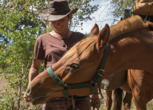 The Road to Patagonia
