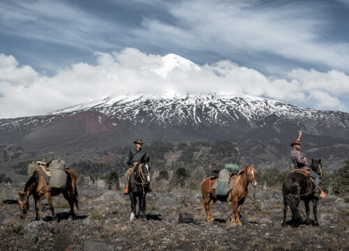 The Road to Patagonia