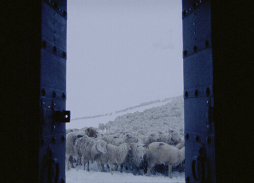 The Wind Blows Wherever It Wants