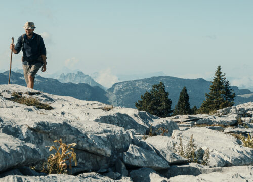 Une journée  | Un berger, dans les Alpes françaises