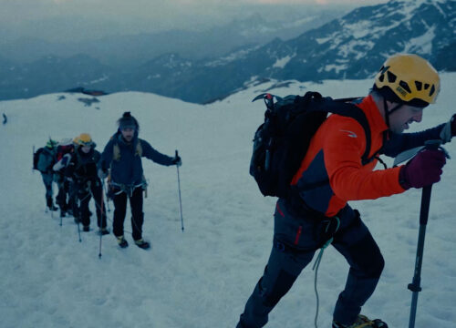 Vertical School - La Scuola Verticale