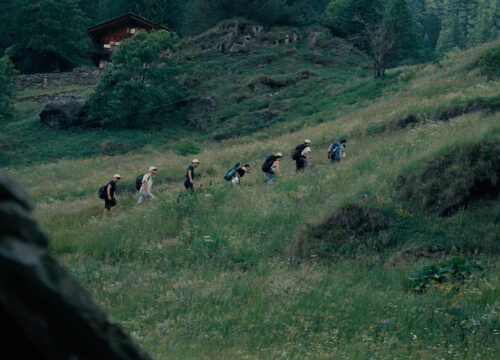 Vertical School - La Scuola Verticale