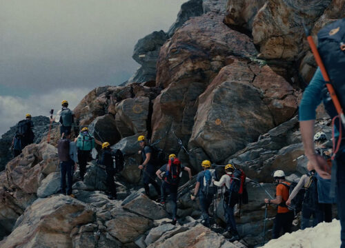 Vertical School - La Scuola Verticale